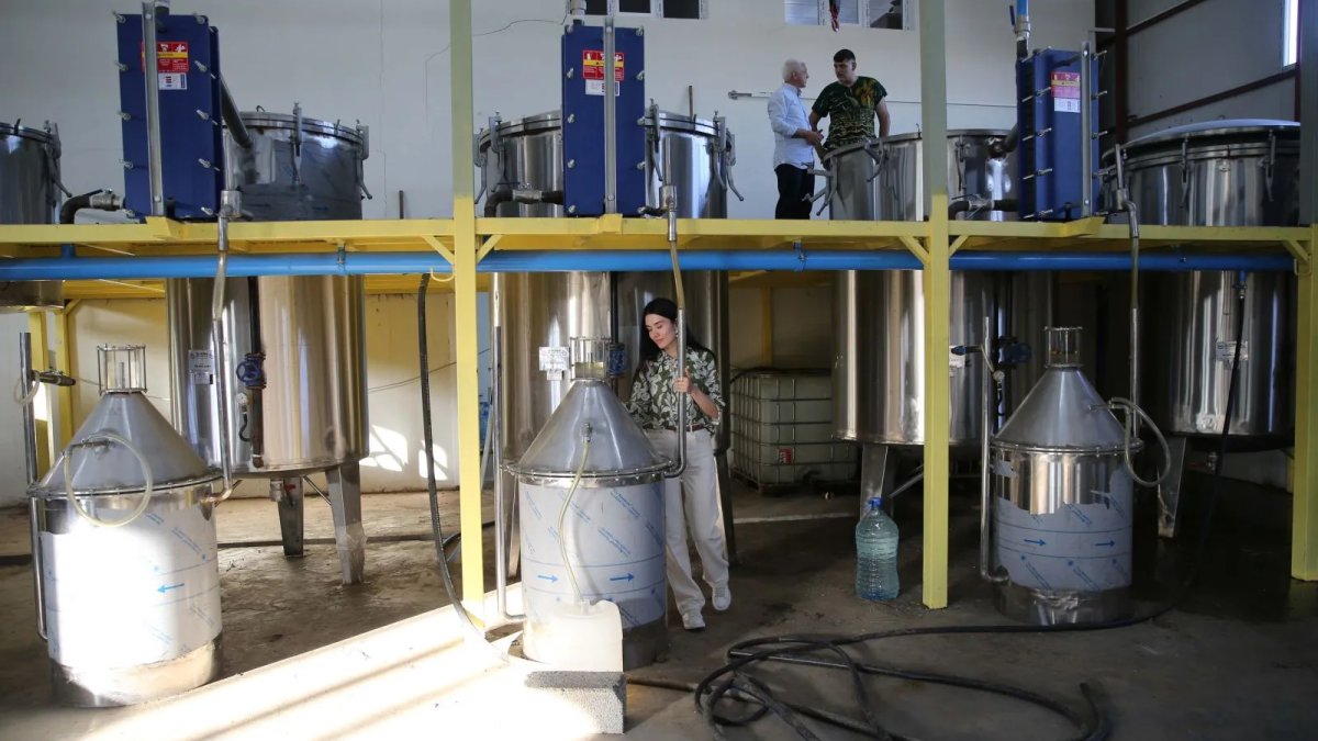 Diyar diyar gezdi, parayı memlektinde buldu! Kurduğu tesiste yetiştiriyor: Buğday ve mısıra alternatif ekti