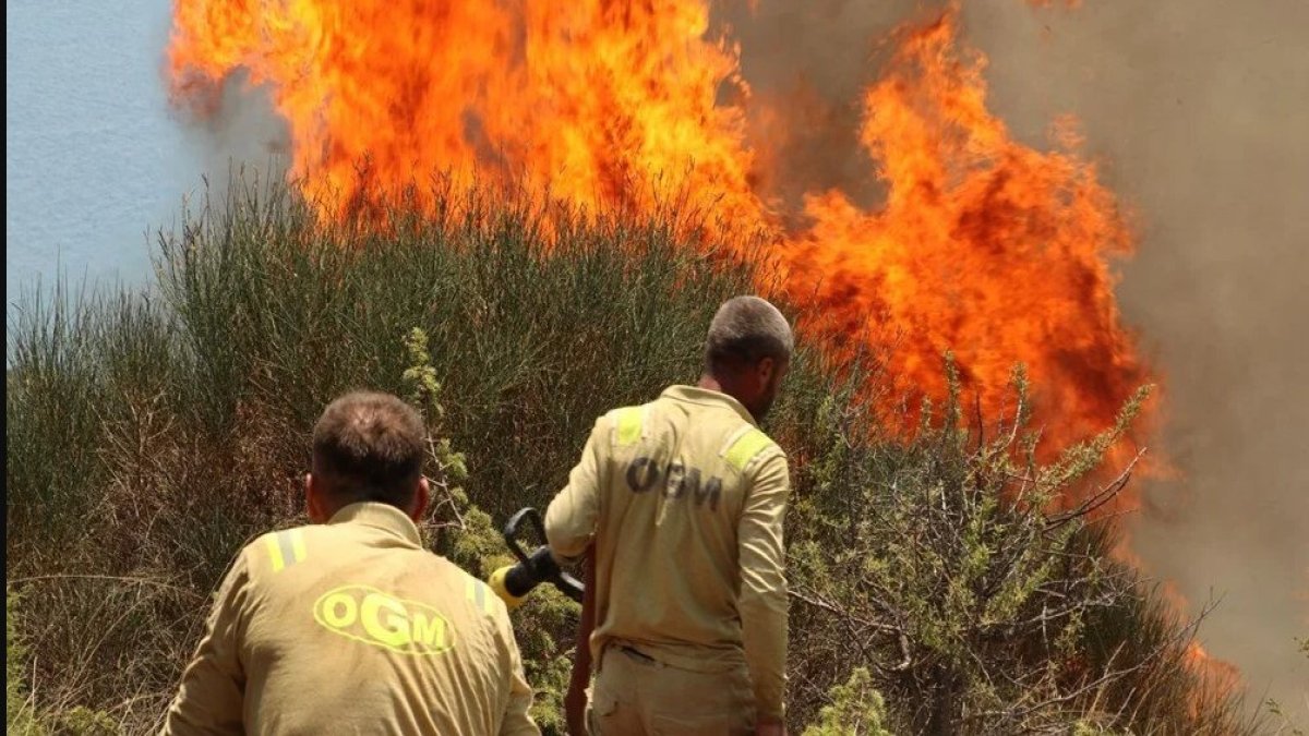 Kastamonu ve Karabük'te orman yangını! Havadan ve karadan müdahale devam ediyor