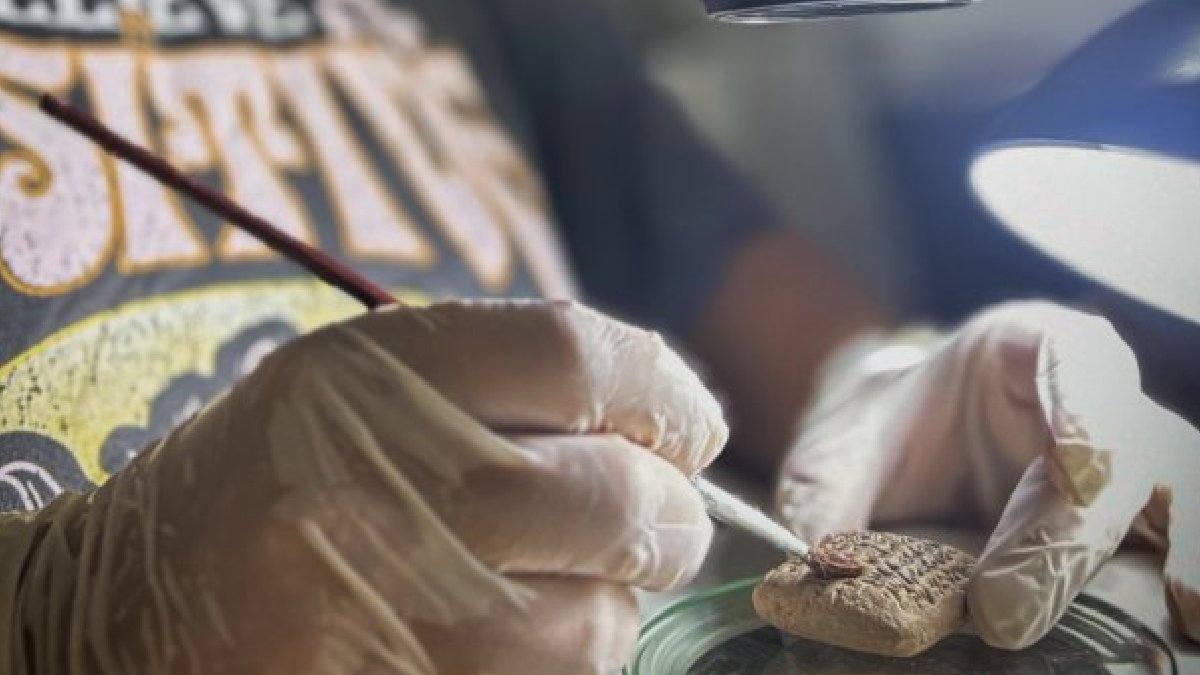 Hatay'da tarihe ışık tutacak keşif: 3 bin 500 yıllık tablet bulundu