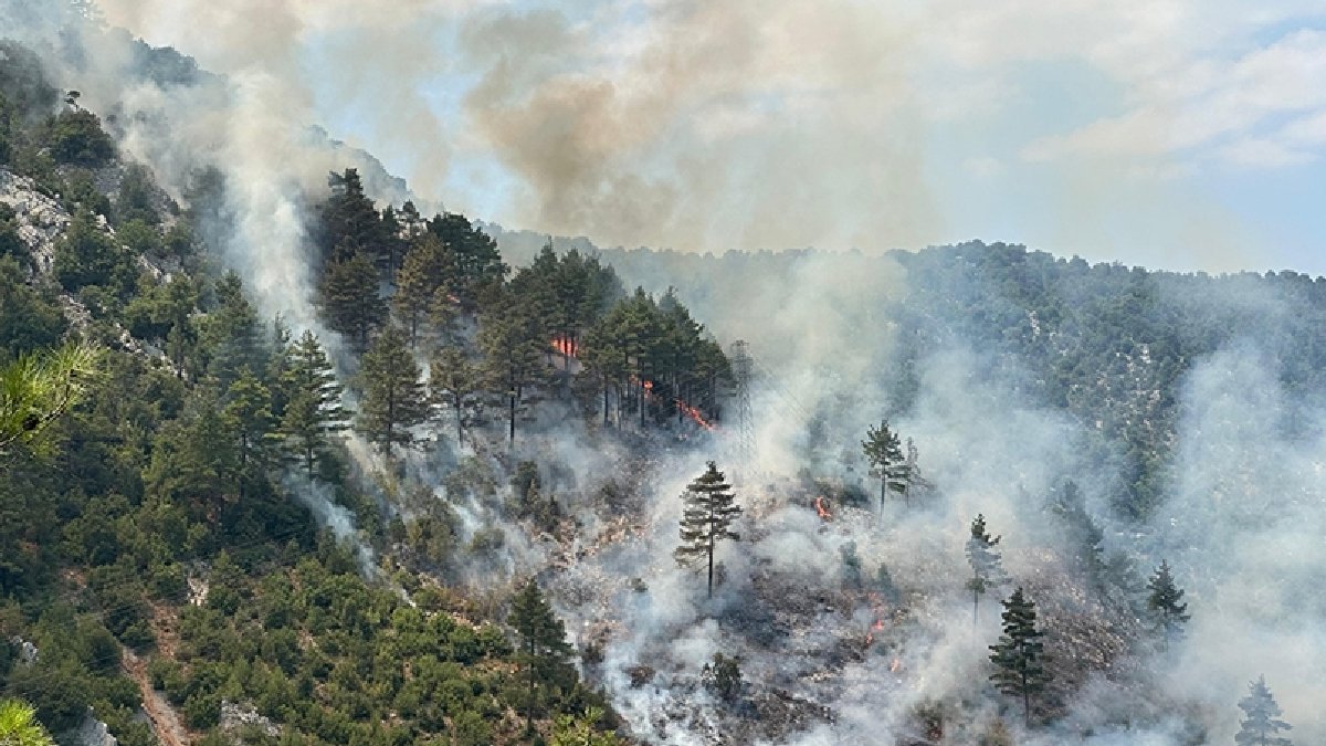Adana'da orman yangını