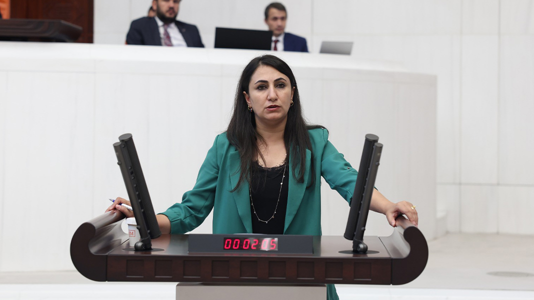 DEM Partili Oduncu: Erdoğan’ın mitingine katılmayan vatandaşların yardımları kesildi