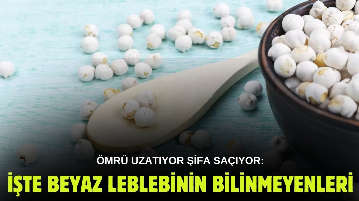 Tıkalı damara doğal anjiyo yapıyor! Cebinize doldurup avuç avuç tüketin, beyaz altın olarak da biliniyor