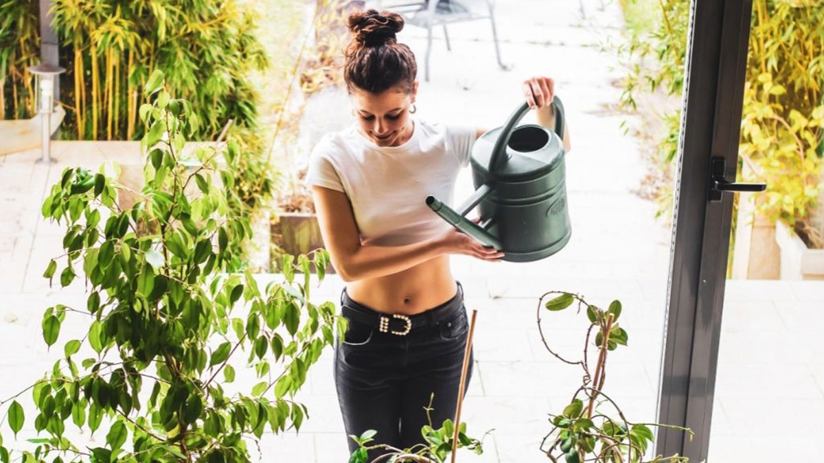 Bahçesinde meyve ağacı olanlar dikkat: Eylül ayından önce bu işlemi mutlaka yapın! Daha iyi meyve verecekler