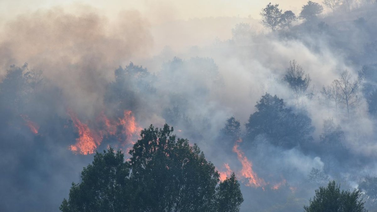 Afyonkarahisar'ın Şuhut ilçesinde yangın: 30 hektarlık alan kül oldu