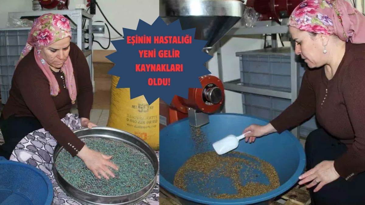 Evinde misafirlerine yapıyordu şimdi ise dünyaya! Irak, Hollanda, Amerika: Şırnak'tan dünyaya açıldı