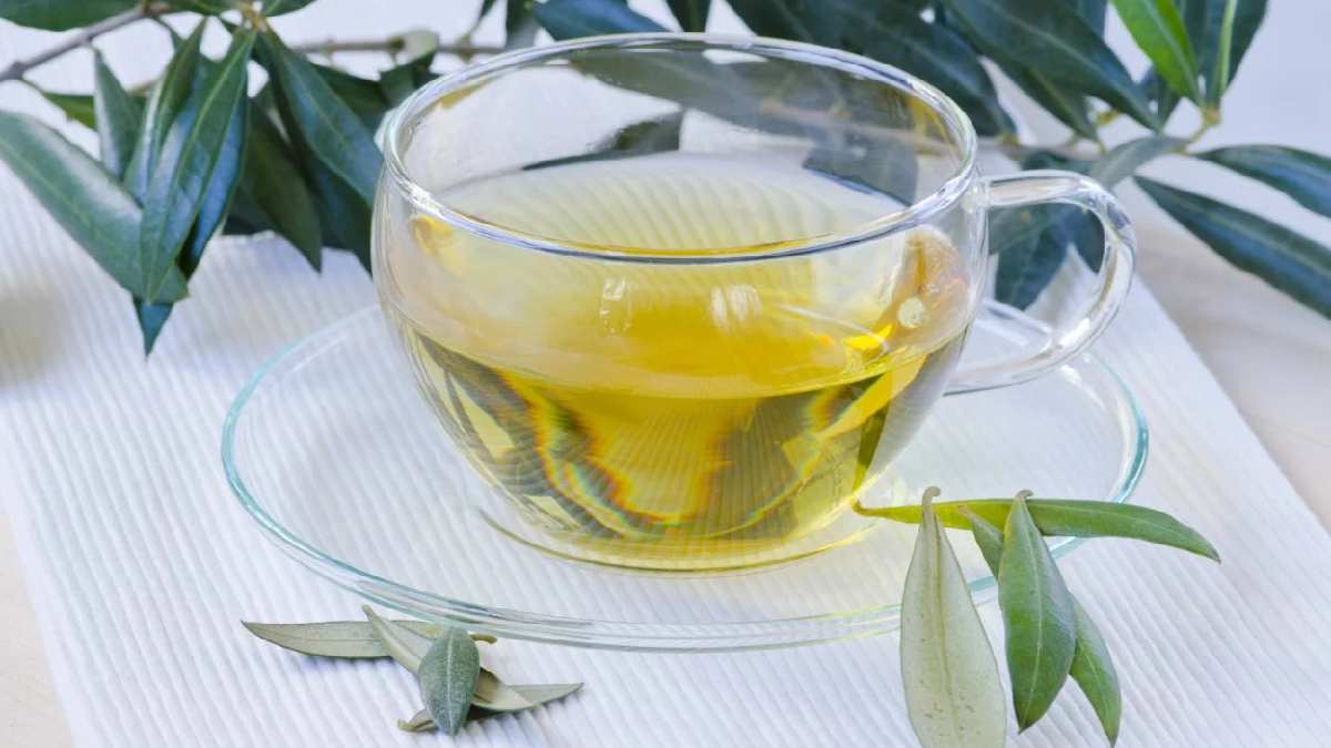 Yağı ve çekirdeğinin faydasını biliyorduk, yaprağı da kıymetli çıktı! Kaynatıp içince şifa oluyor