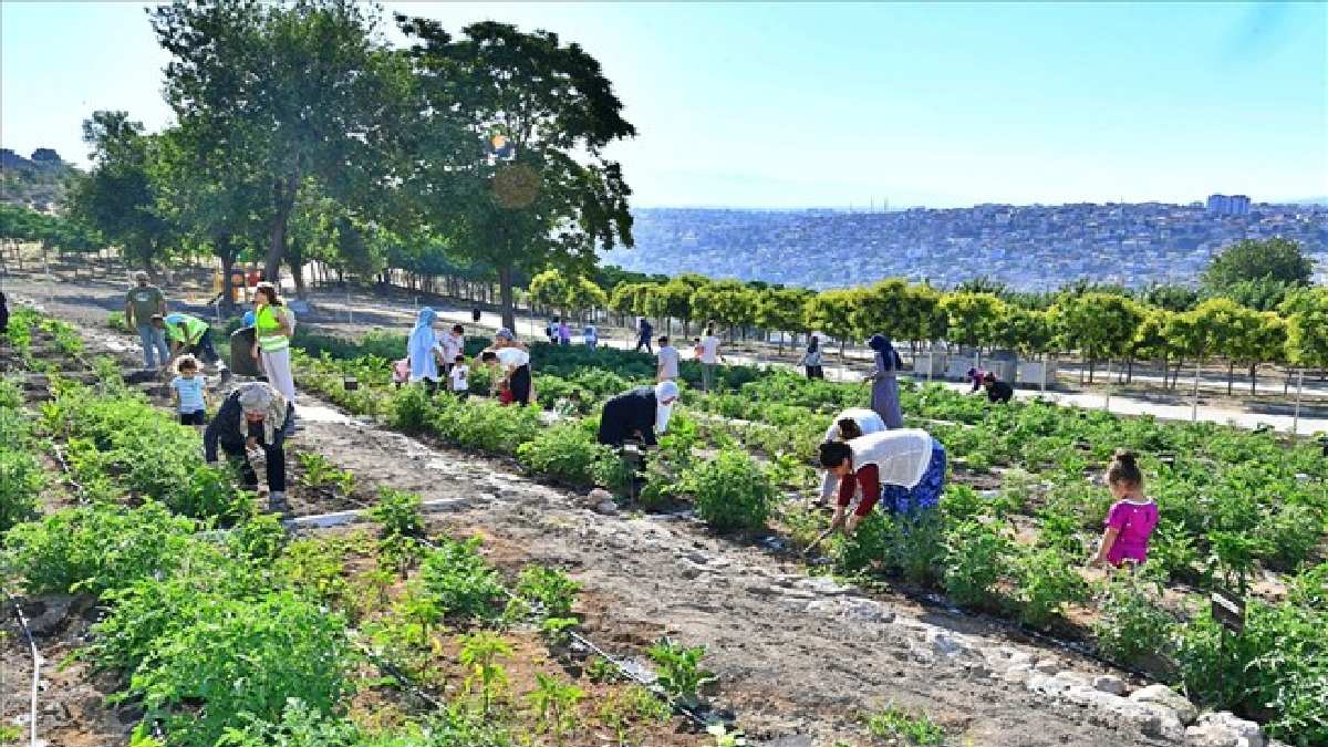 O belediyeden örnek hareket! Bu işte sadece kadınlar yer alıyor, ev ekonomisini şahlandırıyor