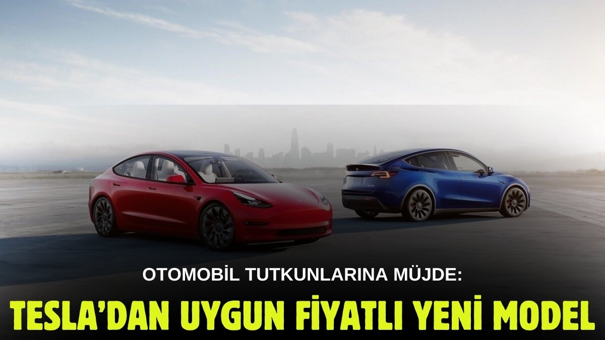 Ucuz Tesla isteyenler müjde! Tarih verildi: Tesla'nın "uygun fiyatlı" elektrikli otomobili, Türkiye'de 1,5 milyon TL'nin altında
