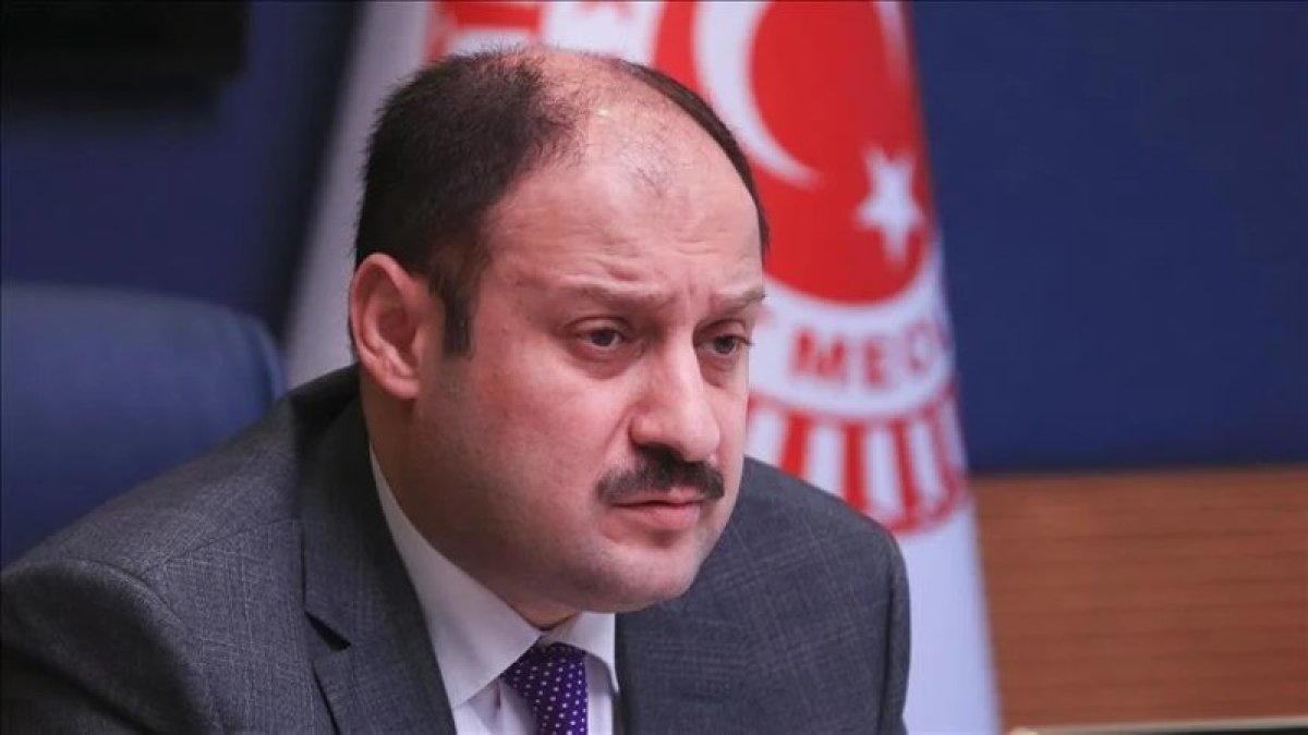 YRP'li Gülpınar’dan sokak hayvanları tepkisi: Hayatımda ilk defa bir kanunu çiğnemekle karşı karşıya kalabilirim