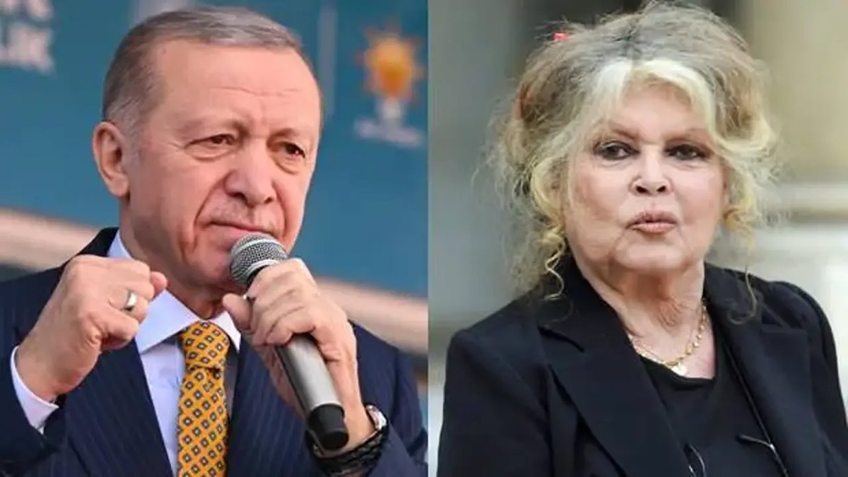 Ünlü oyuncu Brigitte Bardot'dan Erdoğan'a 'sokak hayvanları' çağrısı