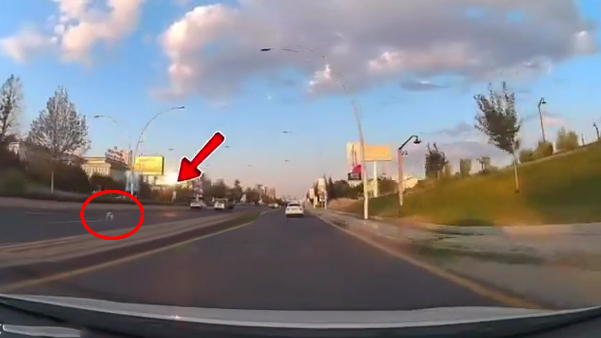 Ankara'da kan donduran görüntü! Küçük bebek yolda ilerleyen Doblo'dan düştü: Kalbi olan izlemesin