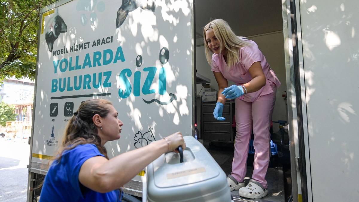 İzmir Büyükşehir Belediyesi kısırlaştırma çalışmalarına hız verdi