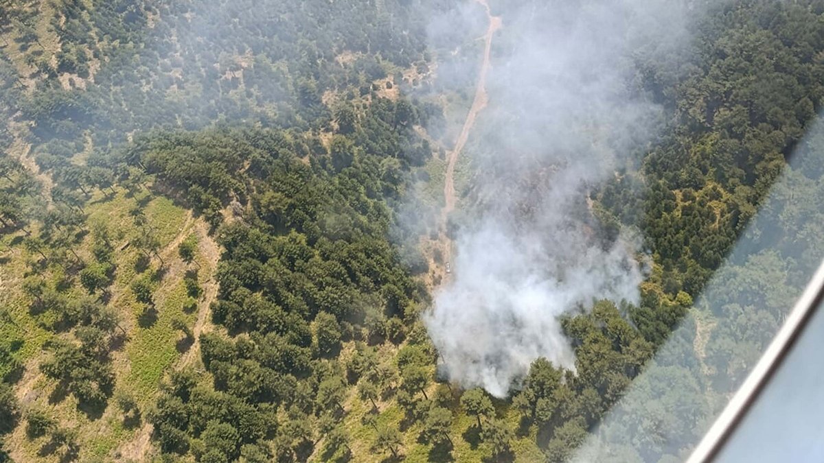 Balıkesir'de orman yangını! Ekipler müdahale ediyor