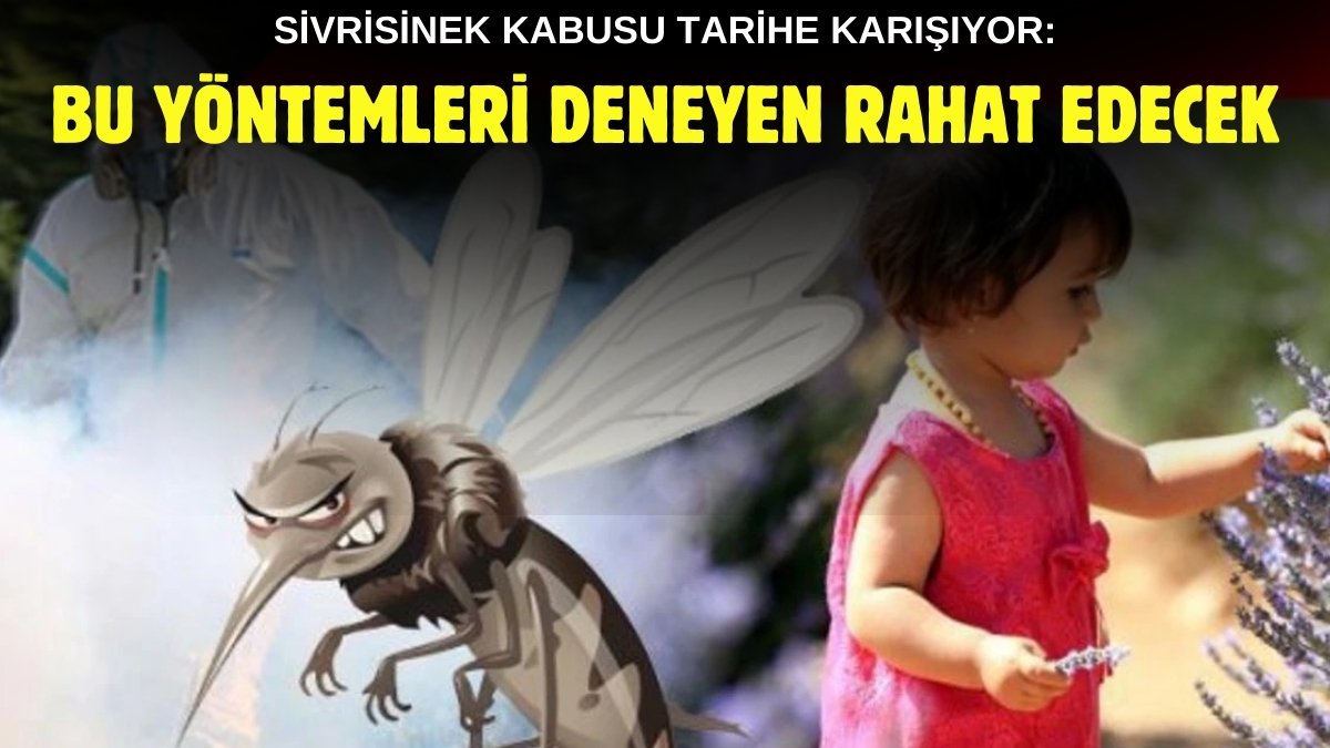 Sivrisinek kabusundan kurtulma zamanı! Bu yöntemleri deneyen tehlikeyi en aza indiriyor: İşte uzman tavsiyeleri