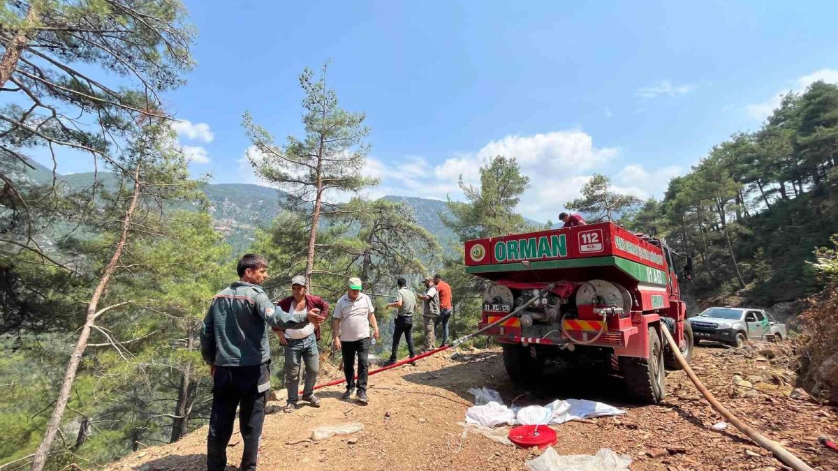 Adana’da orman yangını