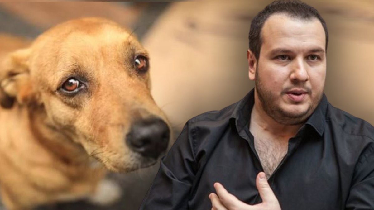 'Katliam Yasası'na bir tepki de Şahan Gökbakar'dan: İnsanlık değil...