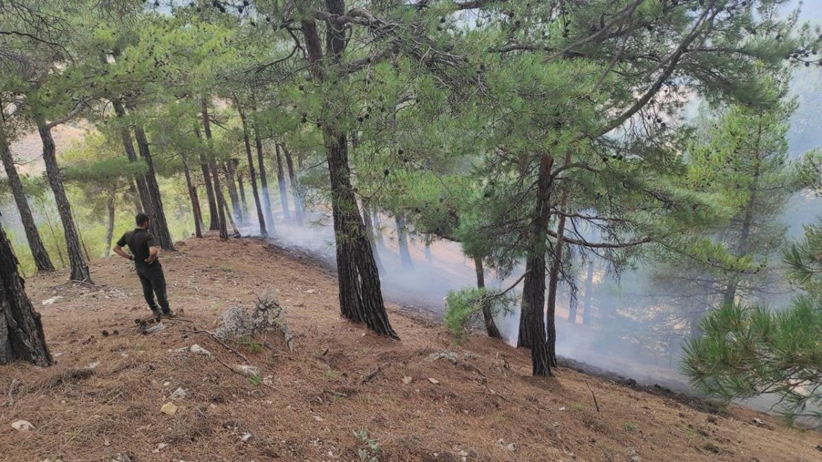 Yıldırımın neden olduğu orman yangını kontrol altında