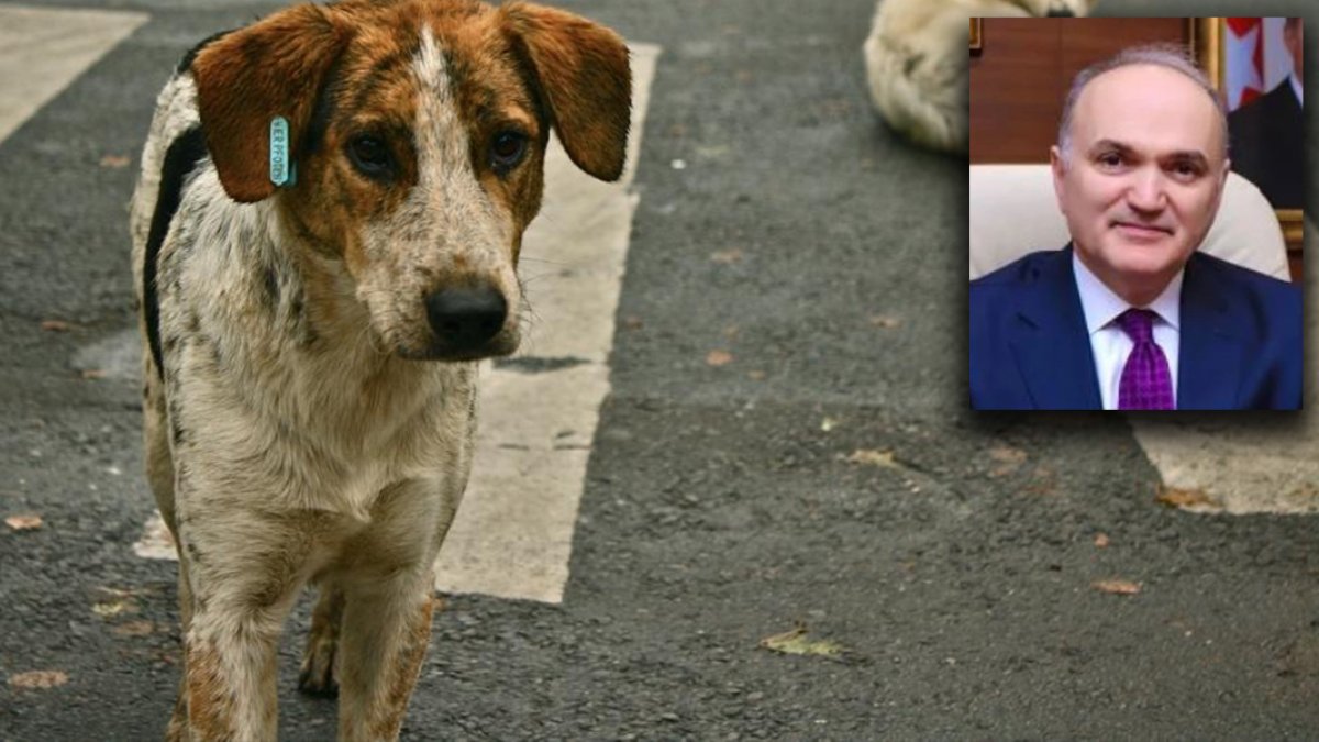 YRP'li başkandan sonra AK Partili başkan da katliam yasasına tepkili: Bu yasa uygulanamaz