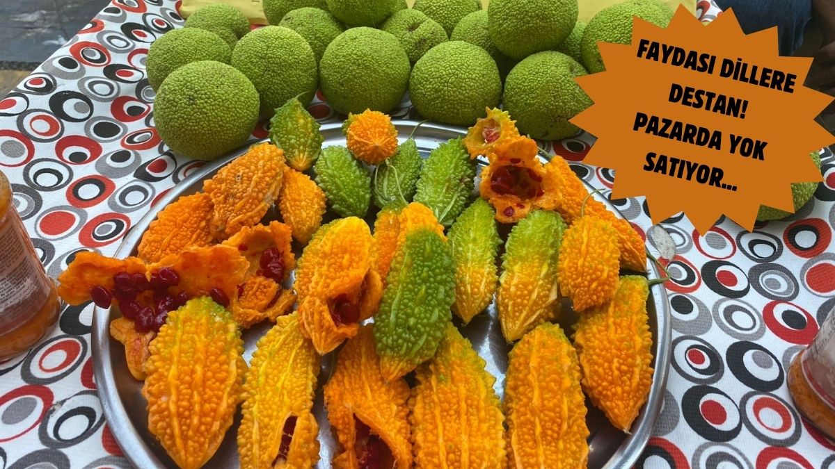 Pazarda kudret narı mucizesi: Ülser, reflü, şeker, gut, fıtık... Günde bir çay kaşığı yemek iyi geliyor