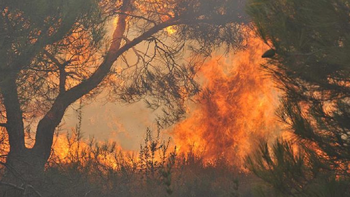 Kanada yangınlarla mücadele ediyor! Başbakan Trudeau dört ülkenin yardım edeceğini duyurdu