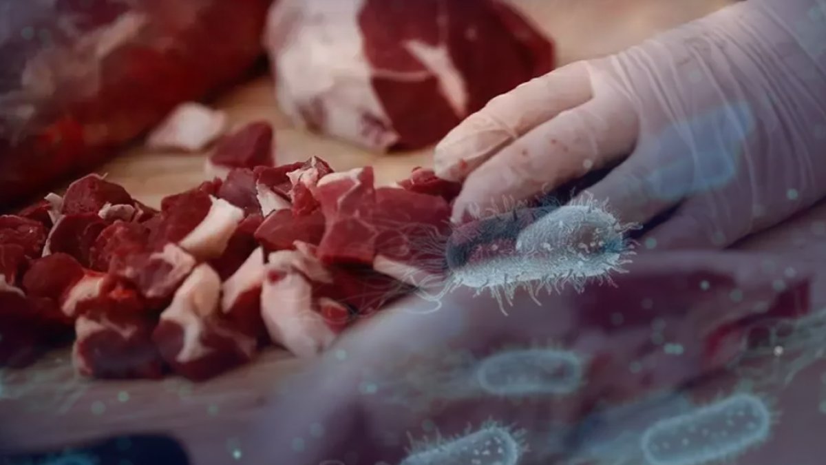 Kilo kilo etler toplatılıyor! Binlerce ette listeria bakterisi tespit edildi: Bir lokması ölüme kadar götürüyor