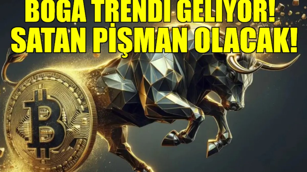 Kripto parada boğa trendi geliyor! Düştü diye satan bin pişman olur: 100 bin doları görebilir