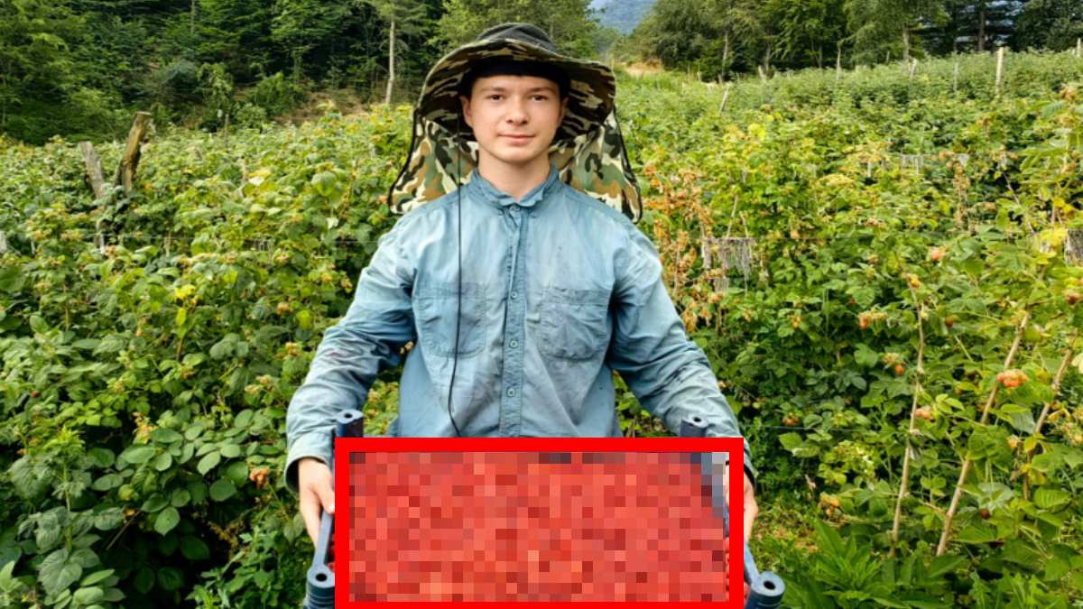 Hasadı 20 gün öne çekildi, herkes dolaba dolduracak! Bir kısmı ziyan oluyor, toplanan 60 TL’den satılıyor