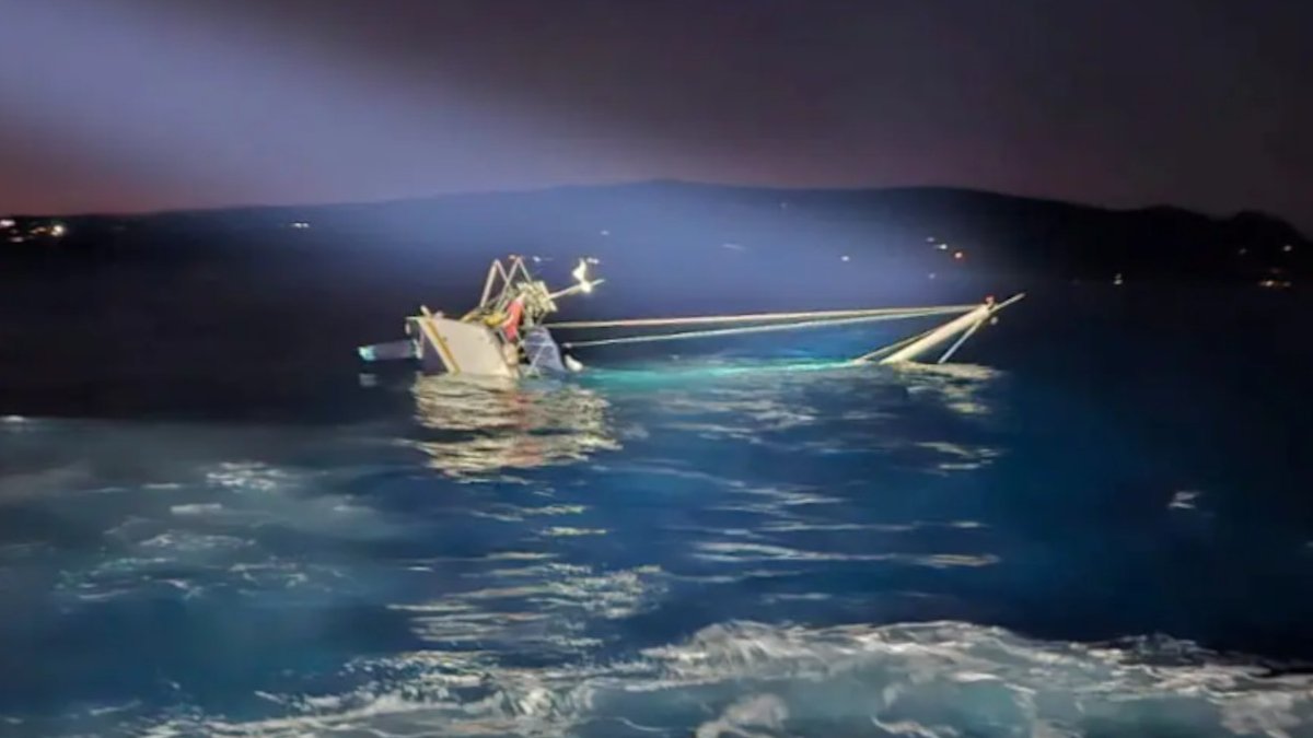 Akdeniz'de katil balina saldırısı: 128 bin dolarlık yatı batırdılar