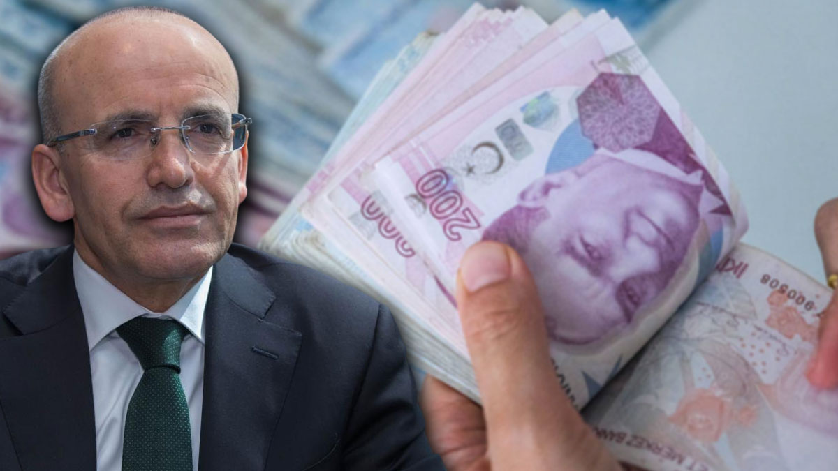 Maliye'den vergi itirafı: Bazı şirketlerden vergi  alınamadığı doğru ama bundan sonra alacağız