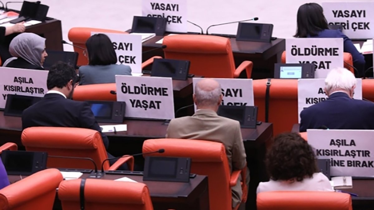 Sokak hayvanları 'itlaf edilsin' yasası TBMM'de! İlk 5 madde kabul edildi