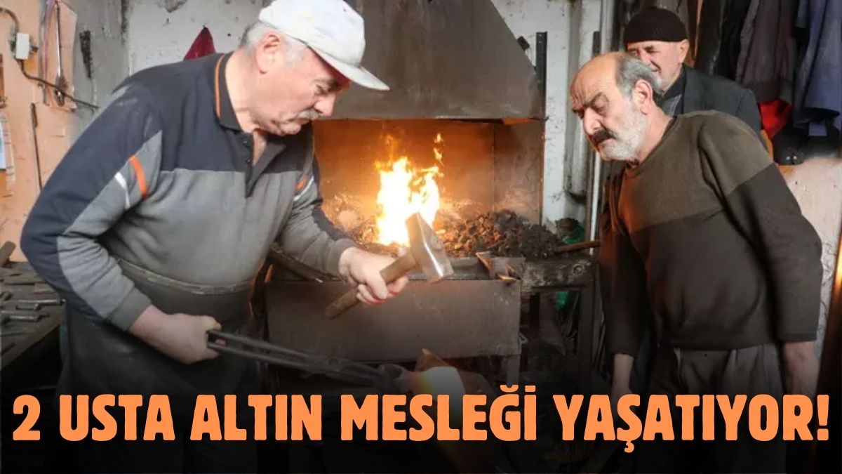 10 yıl önce biten meslek şimdi ‘Altın’ oldu! Yapana tonlarca getiri sağlıyor: Hakkını veren ise sadece onlar…