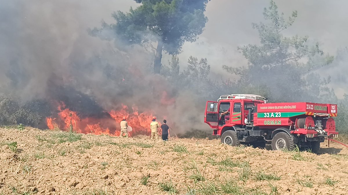 Adana'da orman yangını! Evler boşaltıldı