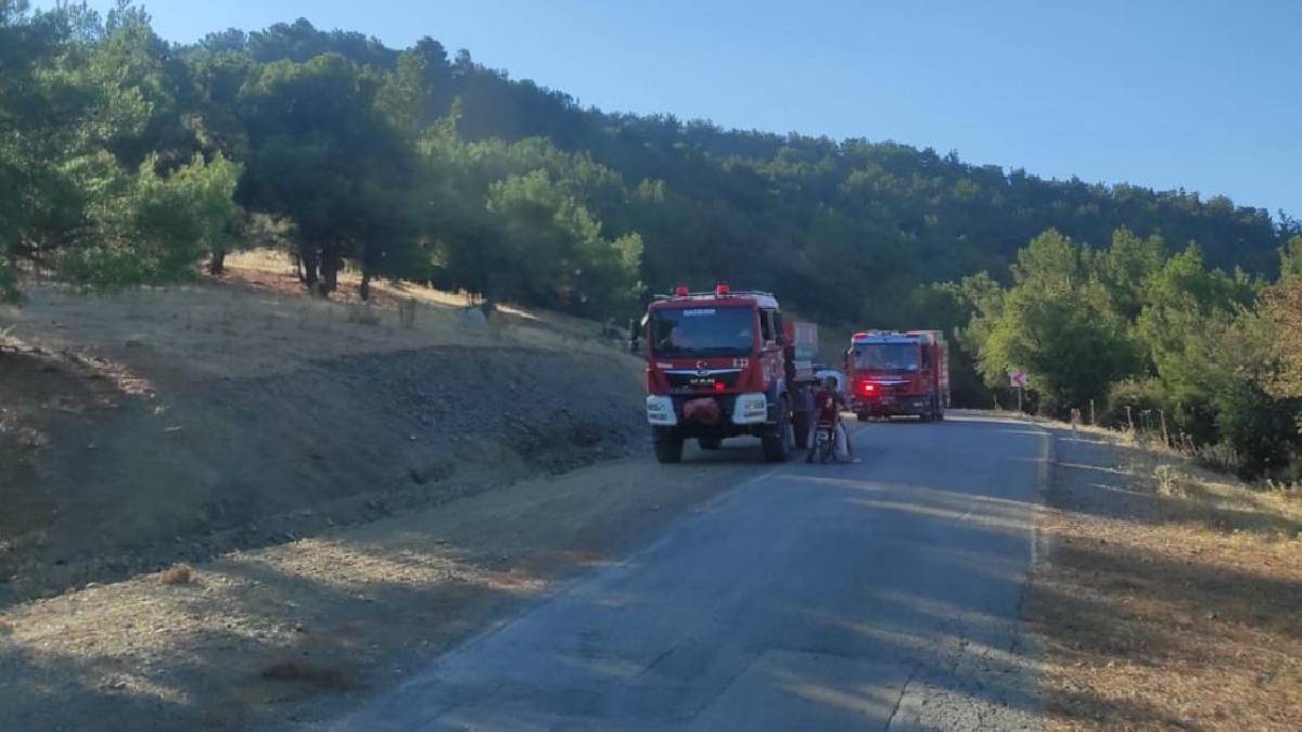 Karabağlar yangını kontrol altında