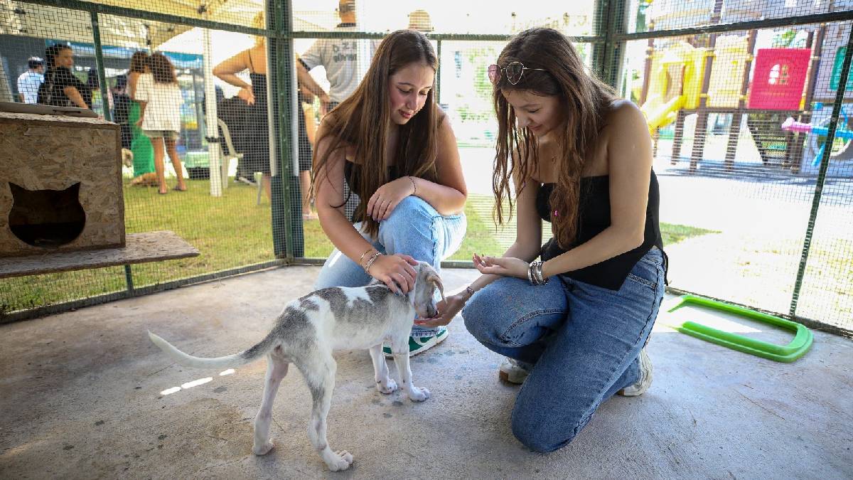 Karşıyaka’da can dostlar yeni yuvalarına kavuştu