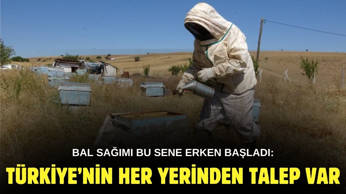 Hasadı bir ay erken başladı! Faydası için bin bir zahmetle topluyorlar: Türkiye'nin her yerinden alıcısı var