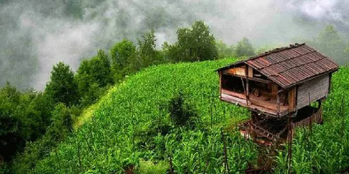 Türkiye'de denizi olmayan en güzel köy! Ayağım toprağa değsin diyen soluğu orada alıyor