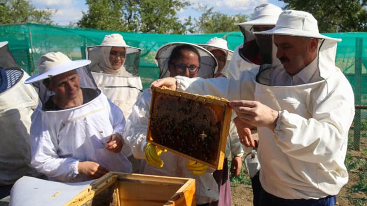 Kırmızı alarm verilmeli: Türkiye'de arıcılığın sonu olur! Bir teneke gerçek balın fiyatı dudak uçuklattı