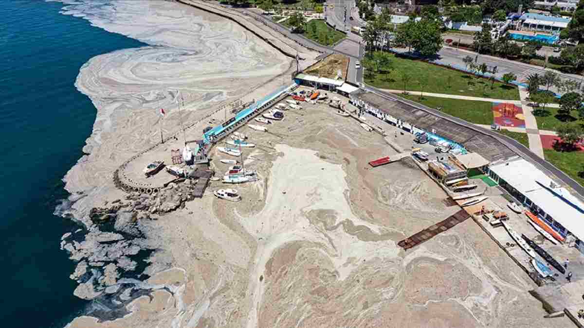 Marmara 50 yılın en büyük tehlikesiyle karşı karşıya! Uzmanlar uyardı: Karadeniz ve Ege'ye de sıçrıyor