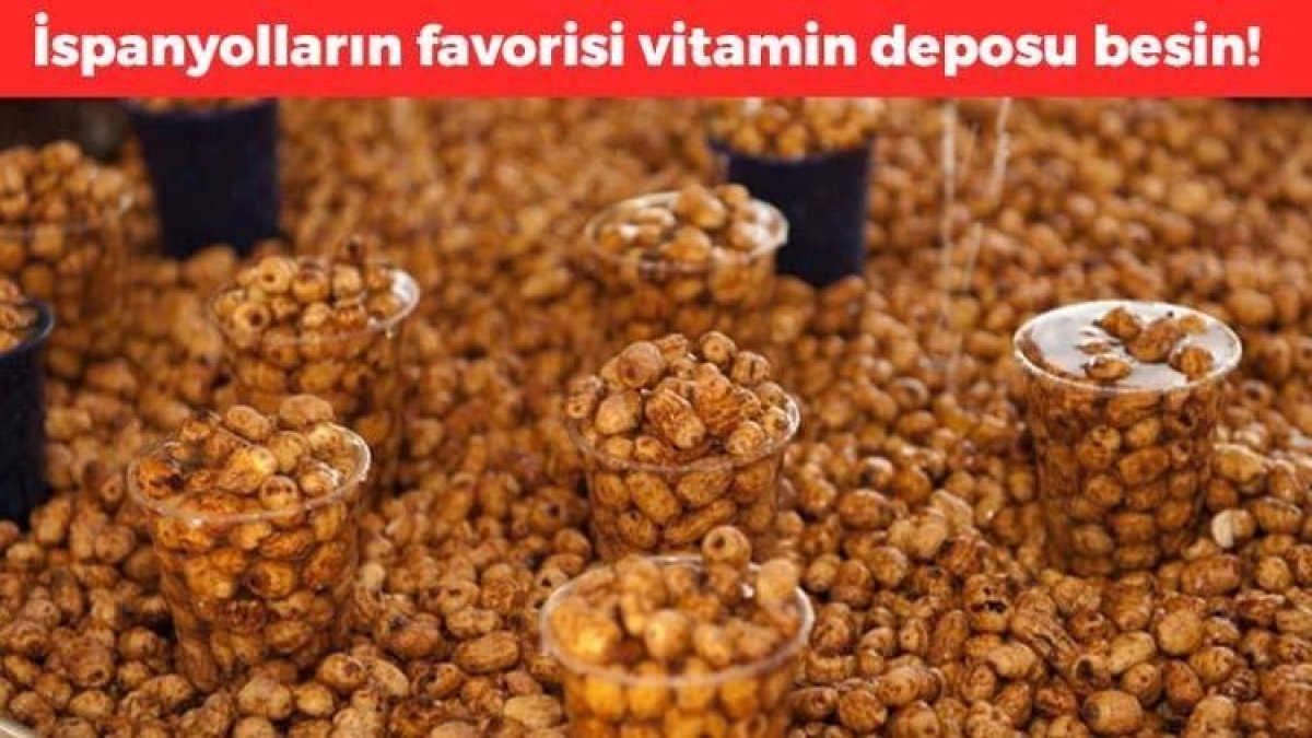 İspanyollar her gün avuç avuç yiyor! Doğada kendiliğinde yetişiyor: Gençlik iksiri