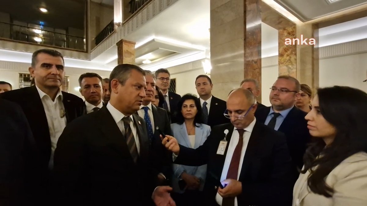 Özel: Sokak hayvanları yasasını AYM'ye götüreceğiz