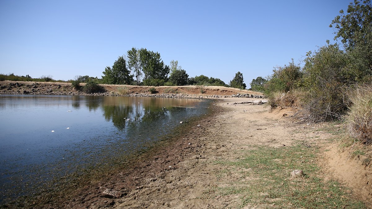 Çömlekköy Göleti alarm veriyor: Toplu balık ölümleri yaşandı