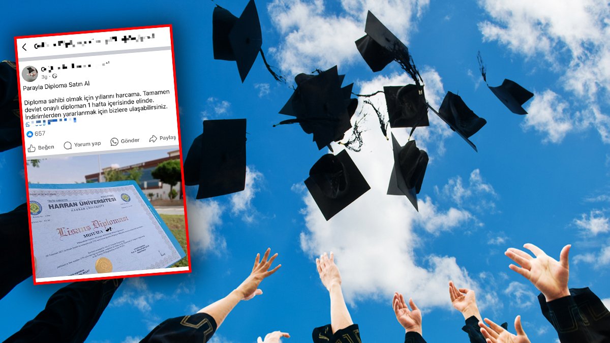 25 bin liraya sahte lisans diploması! Sosyal medyadan 'yıllarını harcama' diyerek müşteri arıyorlar