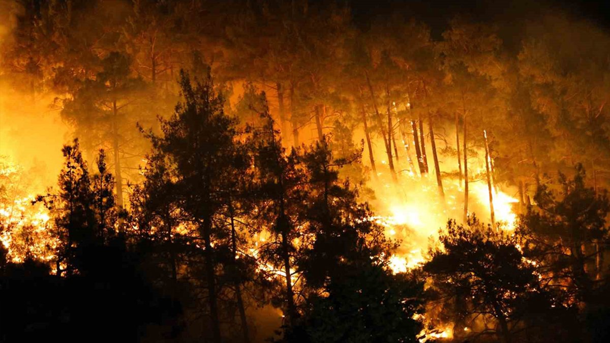 Kahramanmaraş’ta 80 hektar alan kül olmuştu: Orman yangınının nedeni 'şaka' çıktı