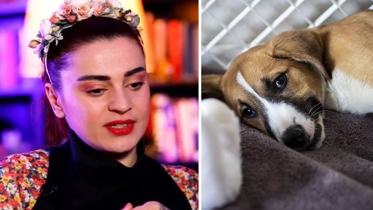 Ceylan Ertem'den 'katliam yasası'na tepki: Ölü bedenimi çiğnemeleri lazım...