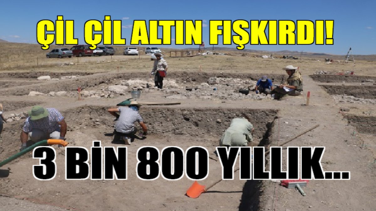 Toprağından çil çil altın fışkırdı! O ilimizde havalara uçuran keşif: 3 bin 800 yıllık olduğu düşünülüyor