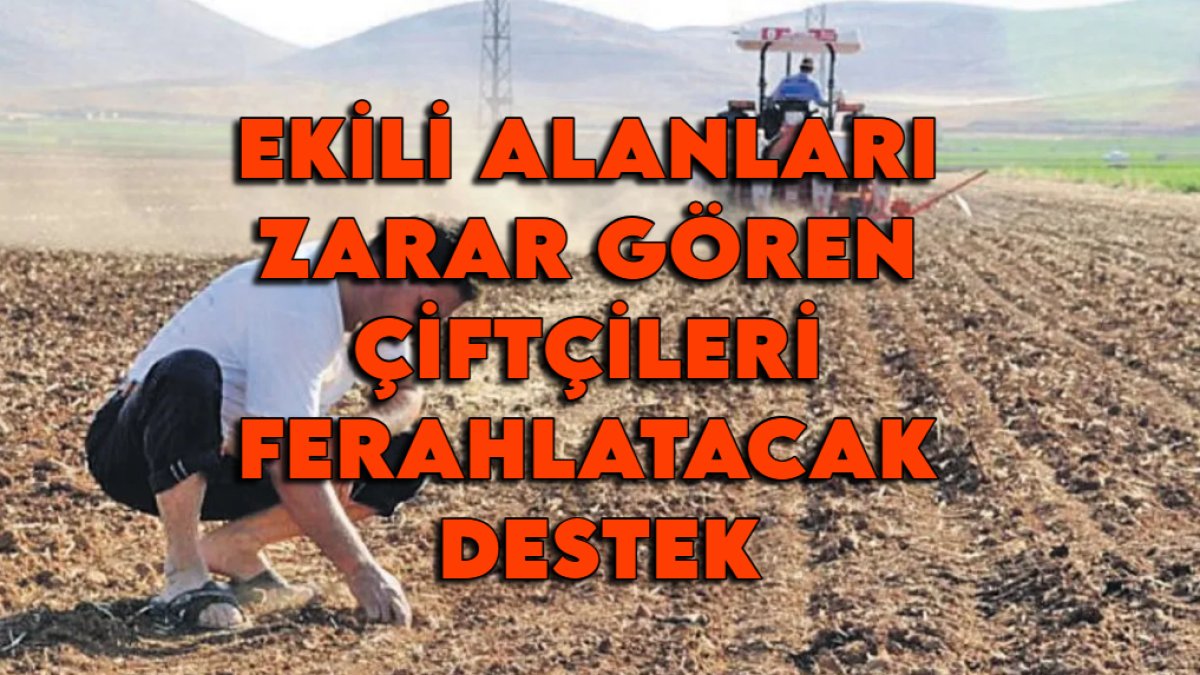Ekili alanları zarar gören çiftçilerin içini ferahlatacak destek! Cumhurbaşkanlığı harekete geçti: 35 milyon TL aktarıldı