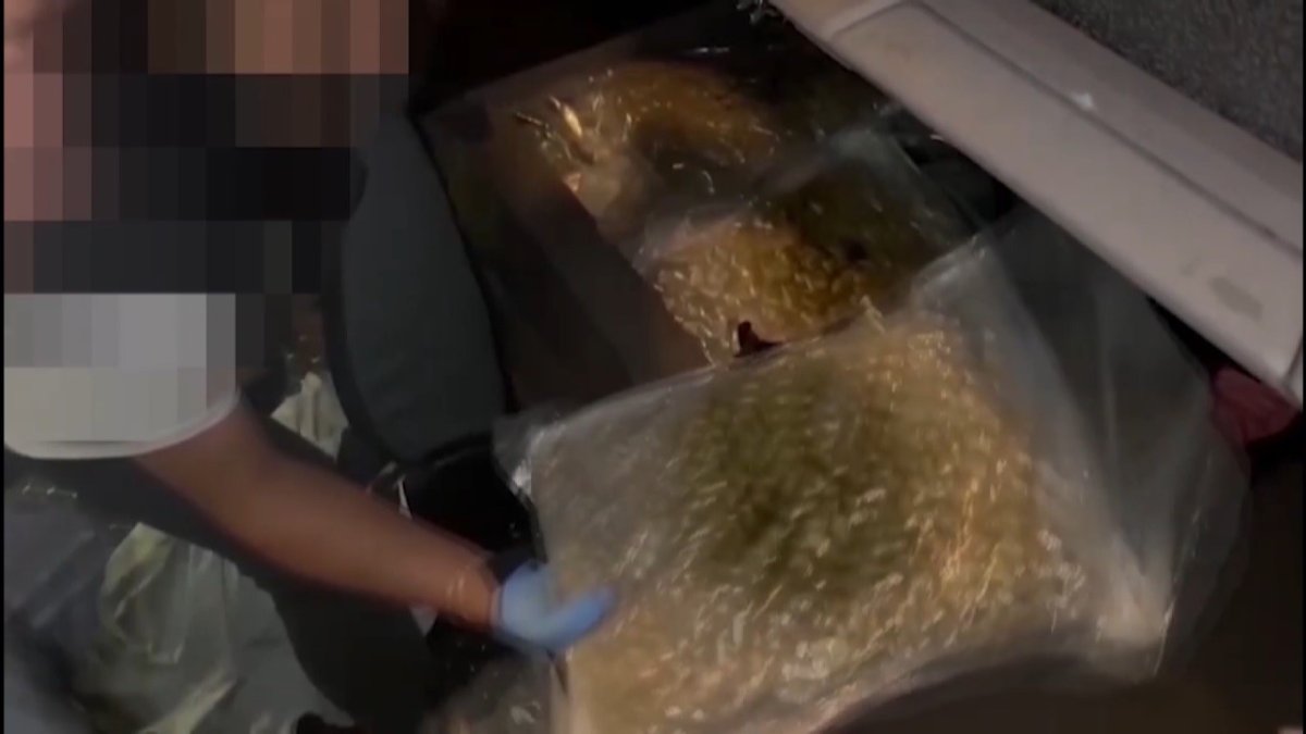 Kapıkule'de uluslararası uyuşturucu kaçakçılığına darbe: Tırda 25 kilo 640 gram skunk maddesi ele geçirildi