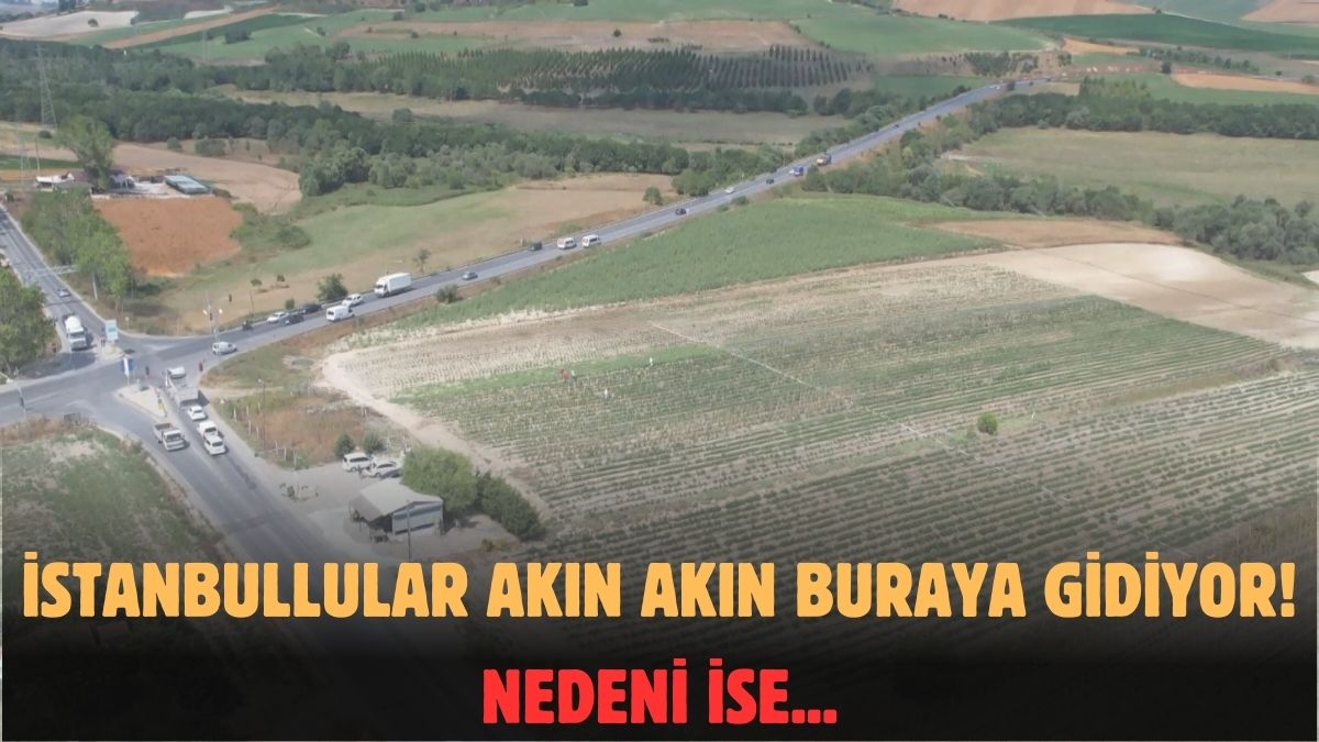 İstanbullular buraya akın ediyor! Hafta sonları adım atacak yer yok: Pazar ve manavdan bile çok satıyor