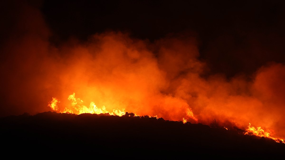 Urla'da alevlerle mücadele: 2 bine yakın 50 yıllık, 100 yıllık zeytin ağaçları yandı