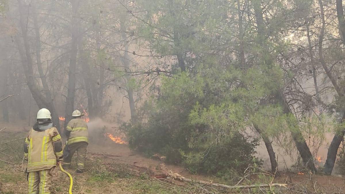 İzmir İtfaiyesi kentin dört bir yanında yangınlarla mücadele ediyor